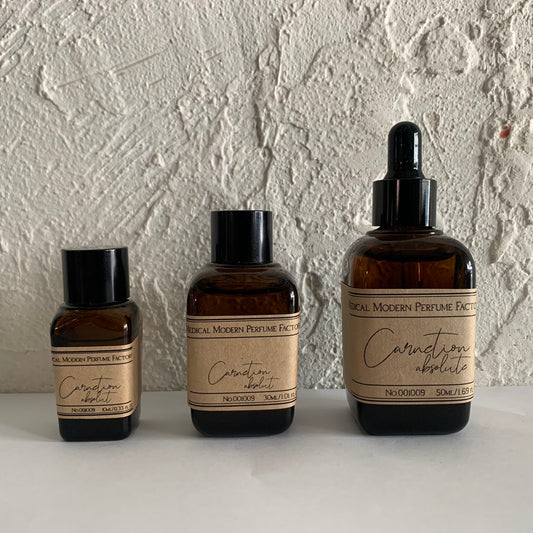 カーネーション/Carnation No.001009