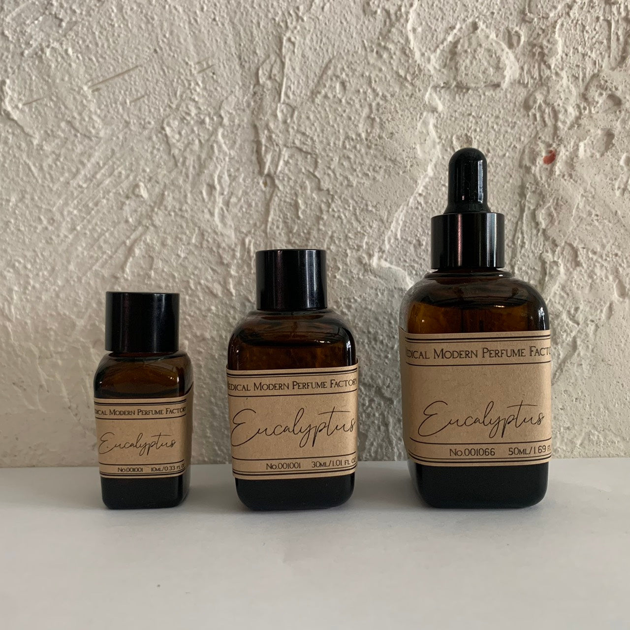 ユーカリ/Eucalyptus No.001066