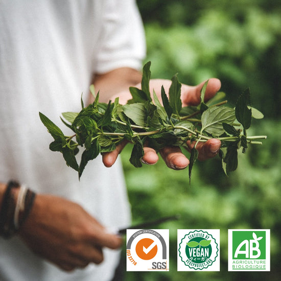 Medical Modern Perfume Factory (メディカル モダン パフューム ファクトリー) | 化粧品 医薬部外品 製品製造 小ロットから大ロット 製造可能 OEM ODM メーカー 高品質 SGS ヴィーガン  オーガニック 認証  原材料販売