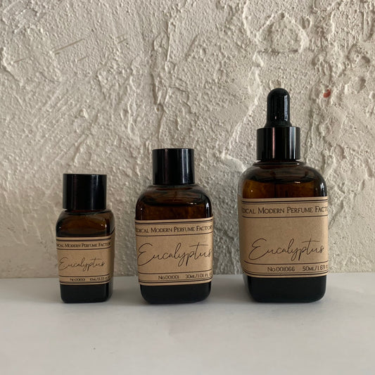 ユーカリ/Eucalyptus No.001066